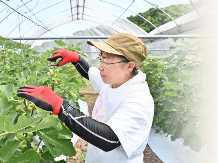 多様な施設外就労の風景