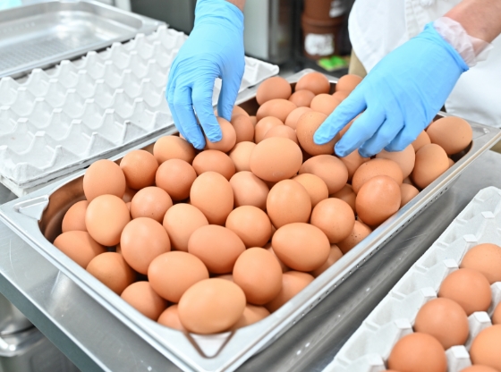 お仕事の悩み、解決します