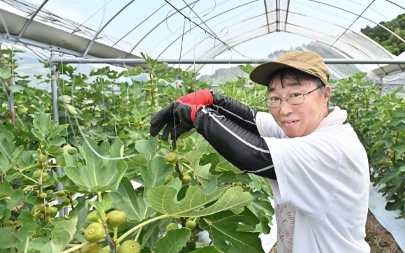 多様な施設外就労のイメージ写真