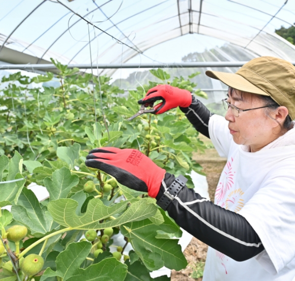 多様な施設外就労の風景
